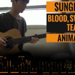 BLOOD, SWEAT AND TEARS | BTS | COVER BY SUNGHA JUNG