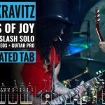 FIELDS OF JOY | LENNY KRAVITZ & SLASH